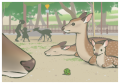 Dʲô˼DռIp˵Ȧ