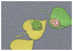ݵǻxǰȡشЄ,ݵҪB˹