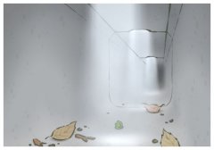 Swl,ʲô˼
